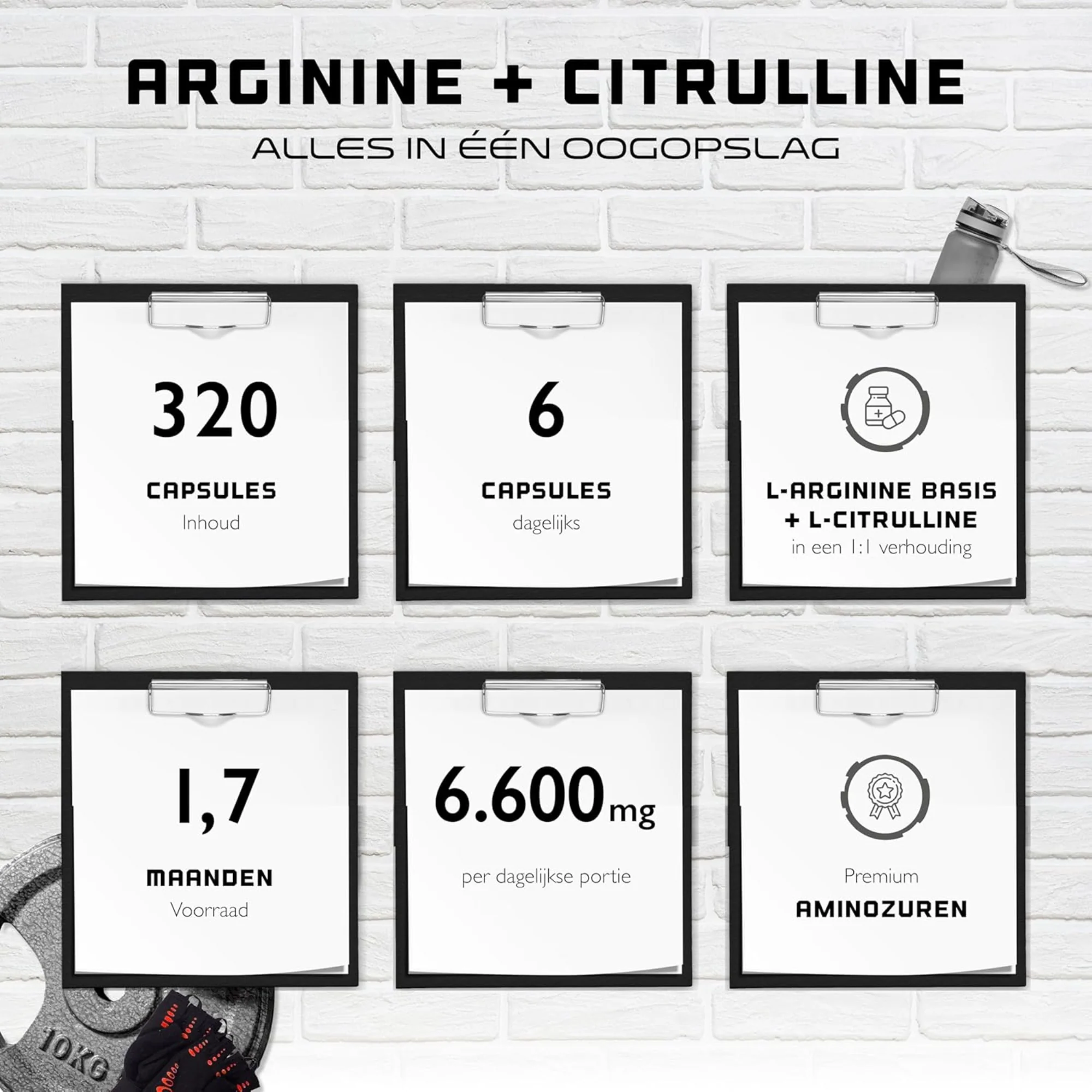 Miniatuur 2