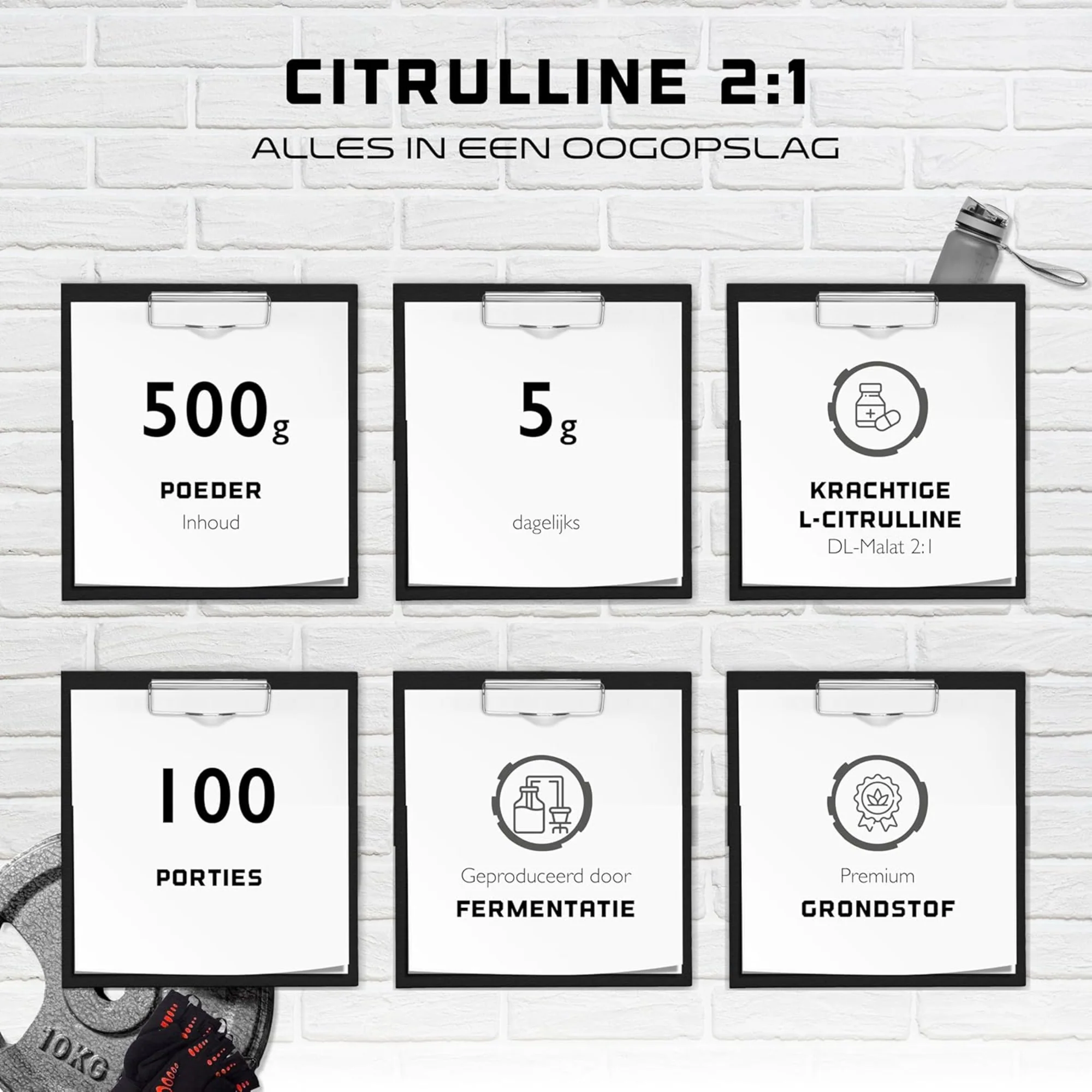 Miniatuur 2